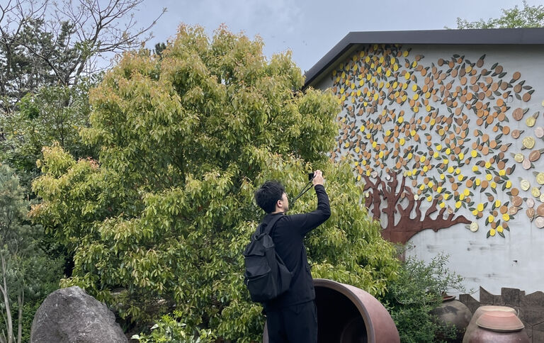 banner image