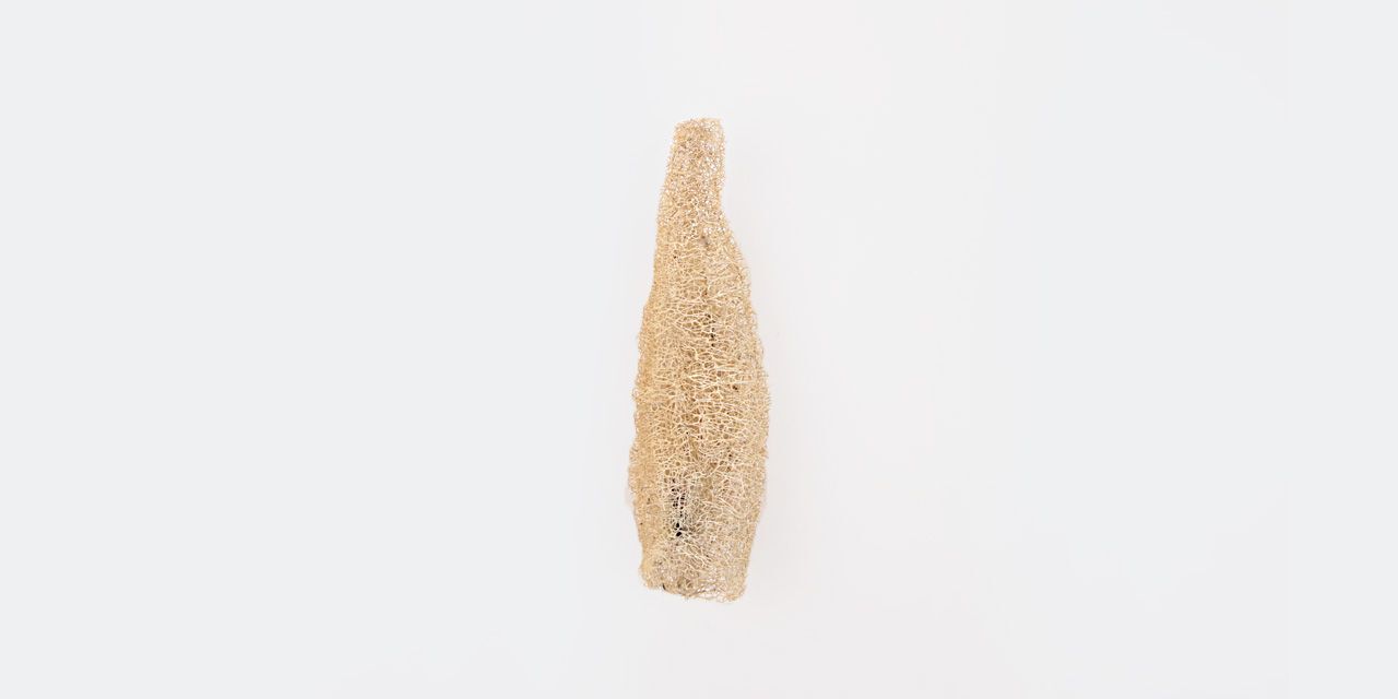 창대농원 몽땅 수세미,, large image number 2