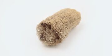 창대농원 몽땅 수세미,, small image number 5