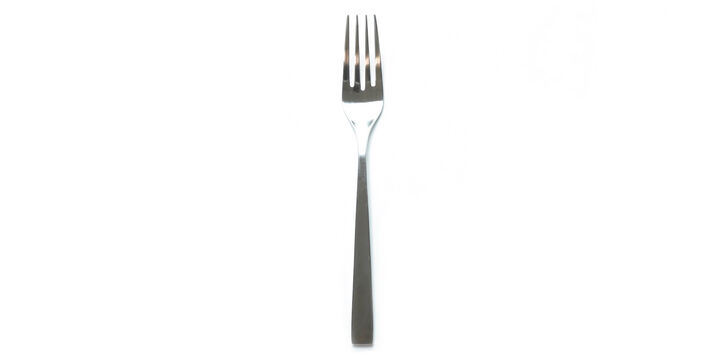 Sunao Dinner Fork