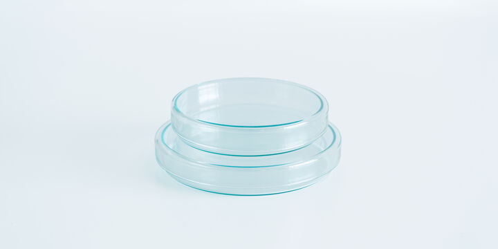 Medical Glass Petri Dish,, medium