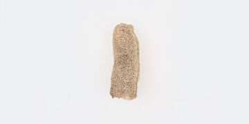 창대농원 몽땅 수세미,, small image number 1