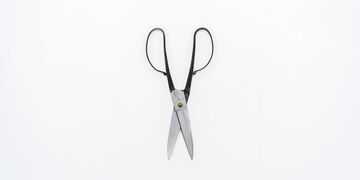 Tanebasami,, small image number 2