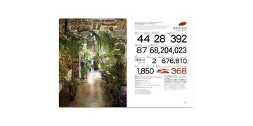 d design travel JEJU 국문판,, small image number 4