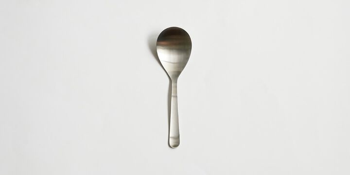 Multi Purpose Cooking & Serving Spoon,, medium
