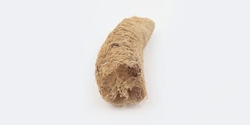 창대농원 몽땅 수세미,, small image number 4