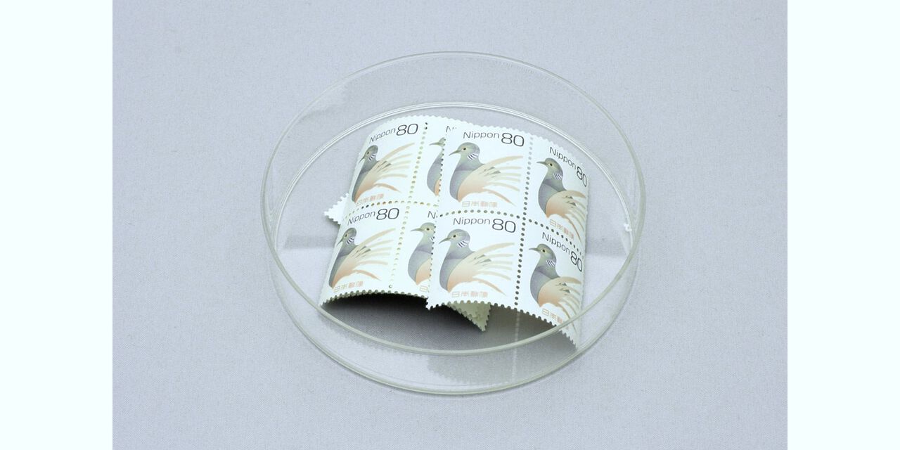 Medical Sterile Petri Dish (Set of 10),, large image number 2
