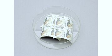 Medical Sterile Petri Dish (Set of 10),, small image number 2