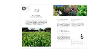 d design travel 高知,, small image number 4