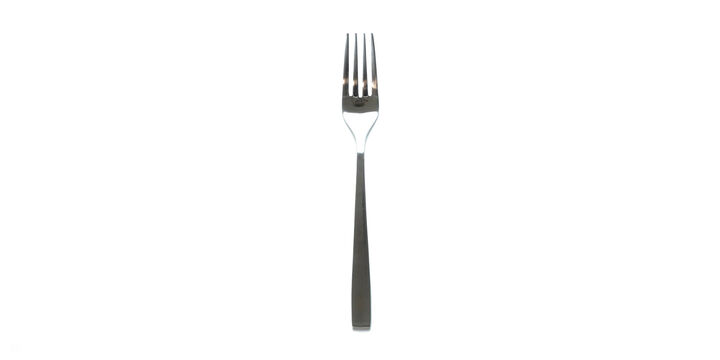 Cake Fork