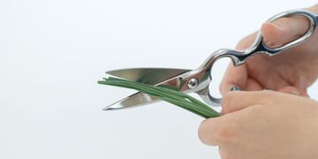 TAjiKA KITCHEN SHEARS (separate),, small image number 5