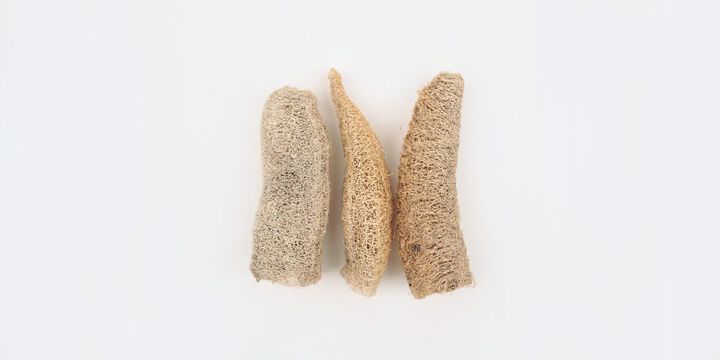 창대농원 몽땅 수세미,, medium